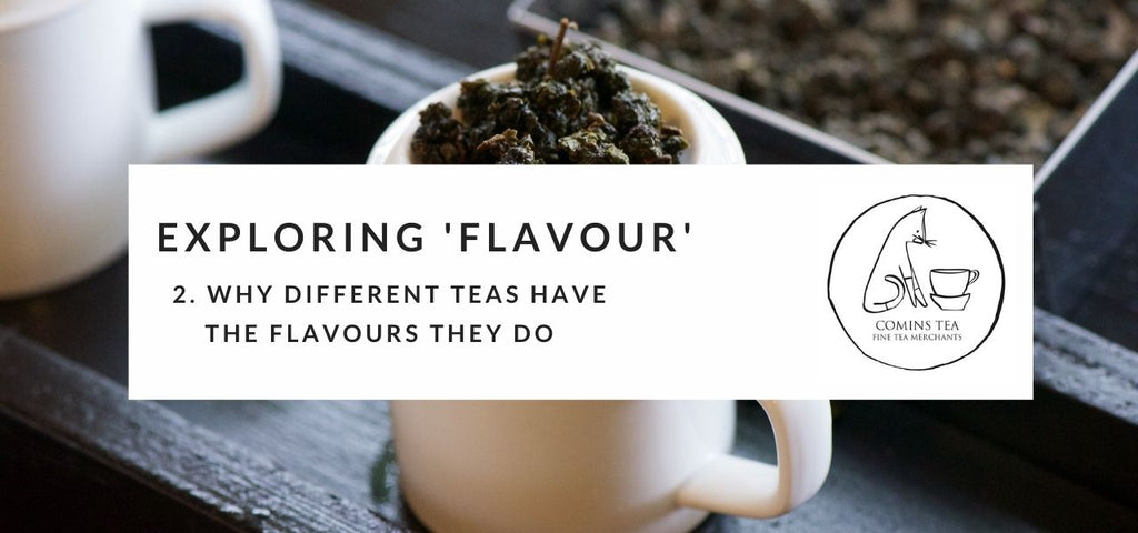 Exploring Flavour 2 : Why different teas have the flavours they do
