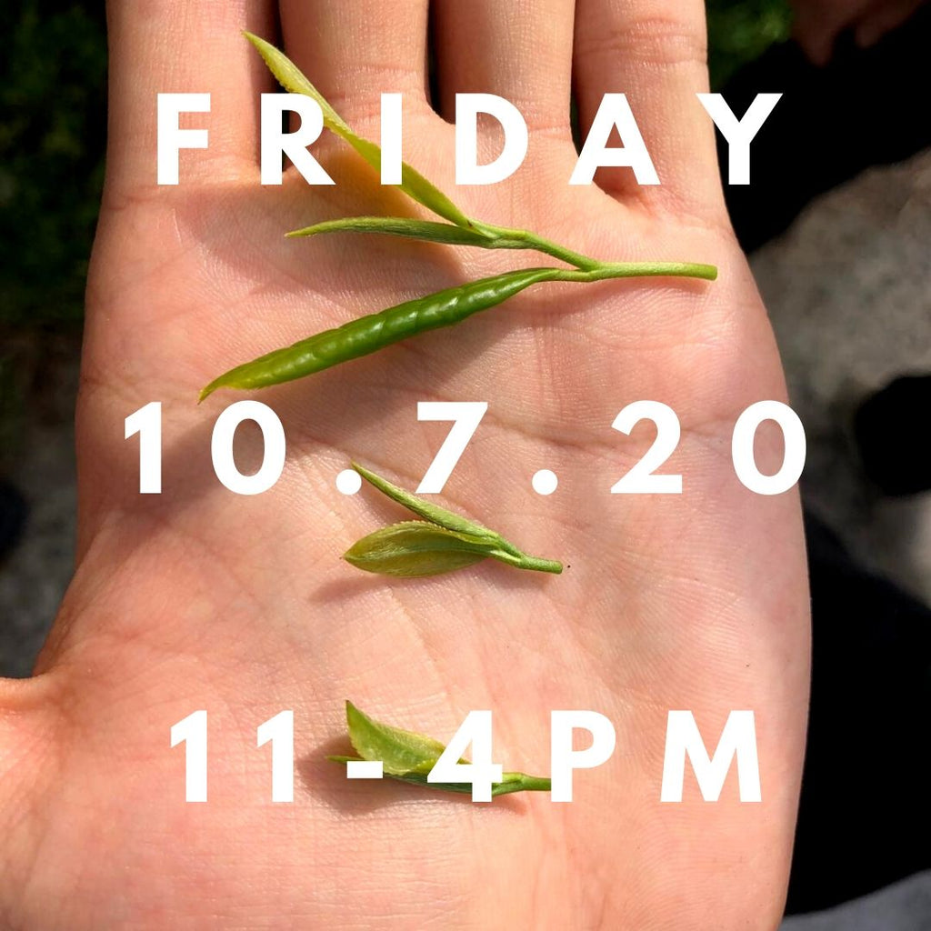 THE START OF THE RETURN : Join us at the Bath Tea House 10.7.20