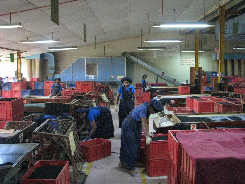 New Connections - Deniyaya | Sri Lanka