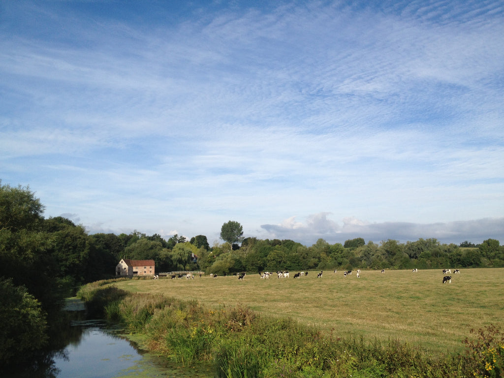 A weekend with some inspirational Dorset businesses!