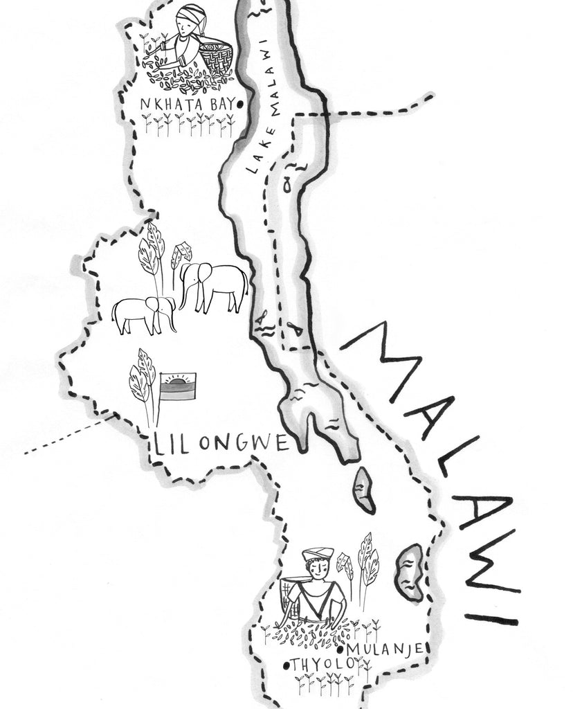 #60days60partners : Malawi