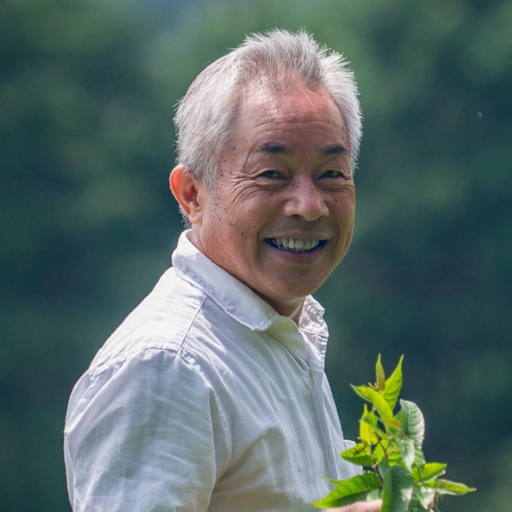 60 Partners : 60 Days : An Introduction to Japan