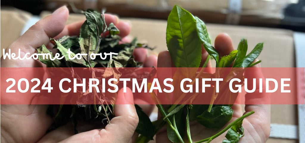 Our 2024 Christmas Gift Guide