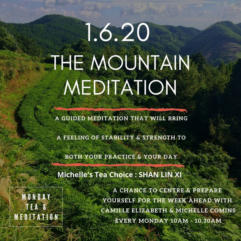 Monday Tea & Meditation : 1.6.20 : The Mountain Meditation