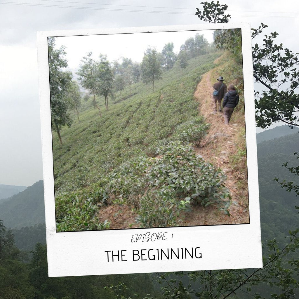 Tales of the Tea Trade : Episode 1 : The Beginning