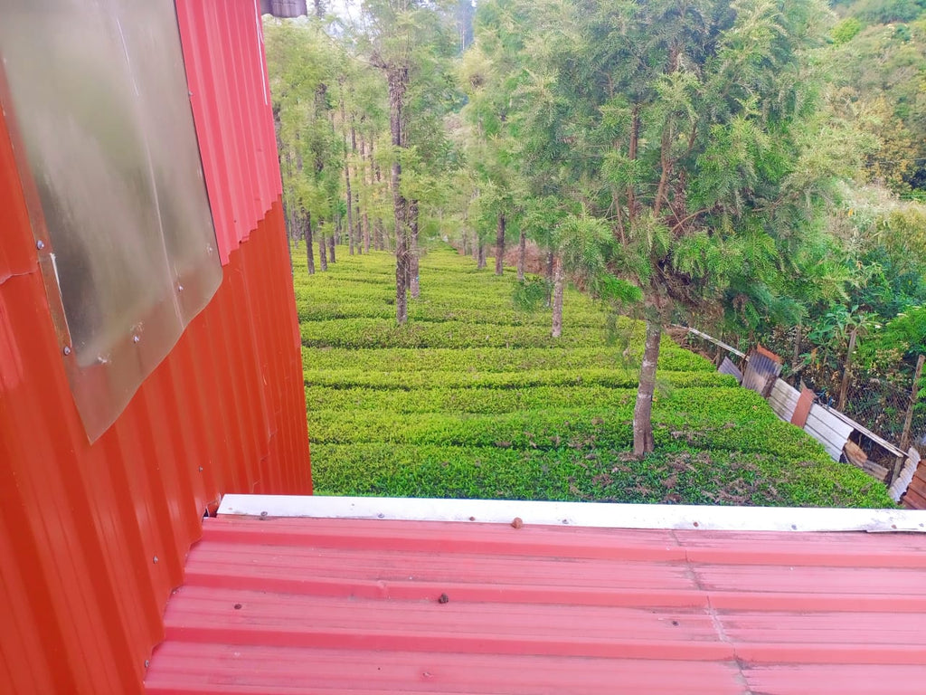 Reflections : A year with tea : March : Expansion