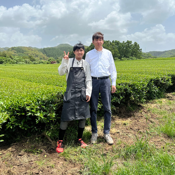 Takahashi San Tamaryokucha first harvest