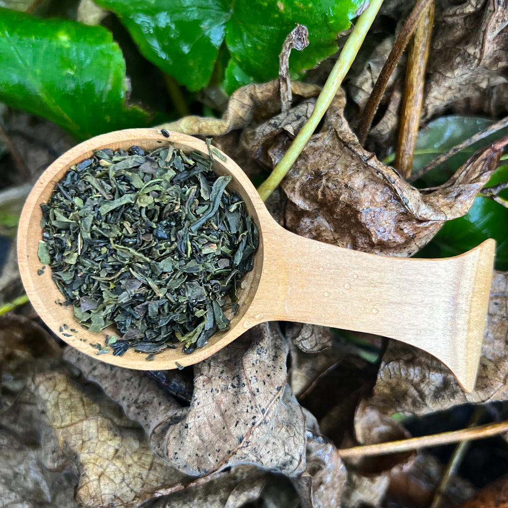 Takahashi San Tamaryokucha GABA