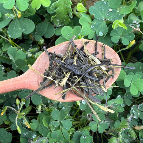 Tokuya’s Sencha Tea (Okumidori Cultivar)