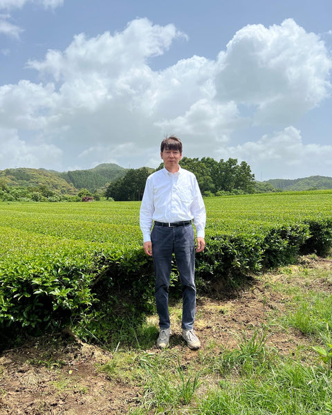 Takahashi San Tamaryokucha first harvest