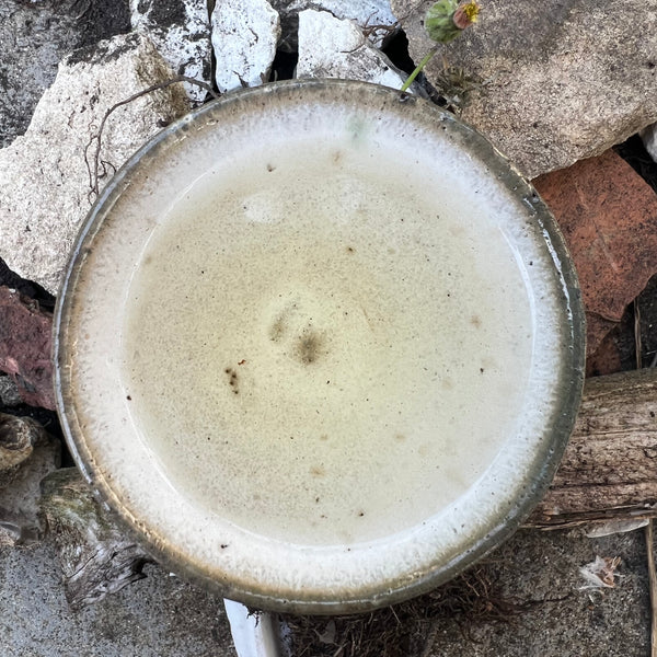 Tokuya’s 2023 Sheng Puer Tea