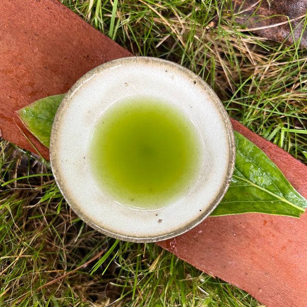 Yuta's 2023 Genmaicha Matcha