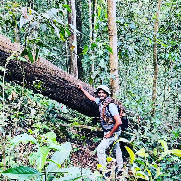 Buddika’s Wild Harvest blend (Black Sri Lankan Tea)