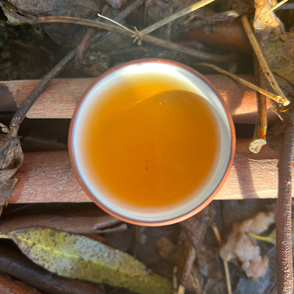 Takahashi San Koucha GABA