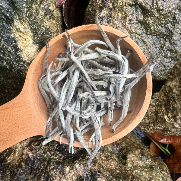 Buddika’s Silver Tip White Tea