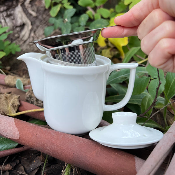 Taiwanese Porcelain Everyday Teapot with Micro Mesh Stainless Strainer : 300ml
