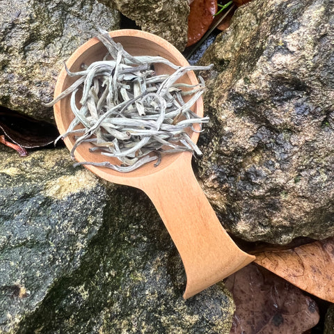 Buddika’s Silver Tip White Tea
