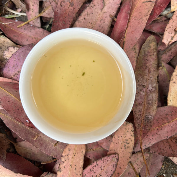 Jungpana 2024 Premium First Flush