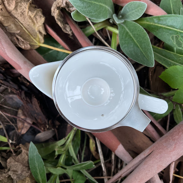 Taiwanese Porcelain Everyday Teapot with Micro Mesh Stainless Strainer : 300ml