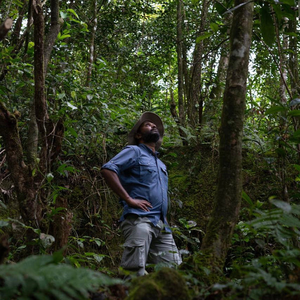 Buddika’s Wild Harvest blend (Black Sri Lankan Tea)