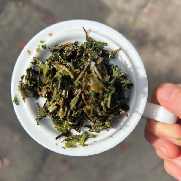 Jungpana 2024 Premium First Flush