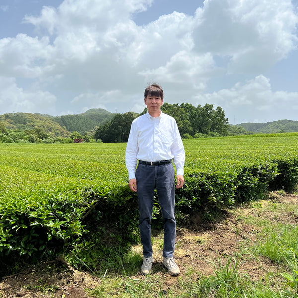 Takahashi San Tamaryokucha GABA