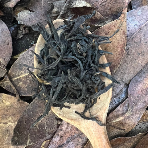 Autumn Wild Mountain Black