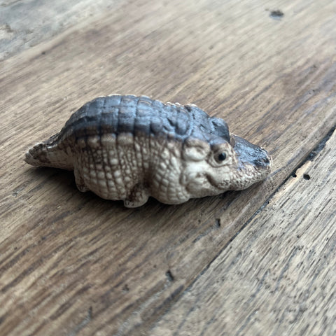 Alligator Tea Pet
