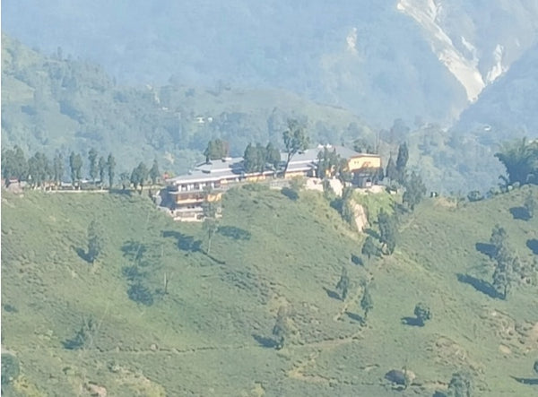 Jungpana 2024 Premium First Flush