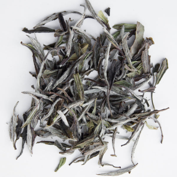 Mr Zheng's Bai Mu Dan (Organic Premium)