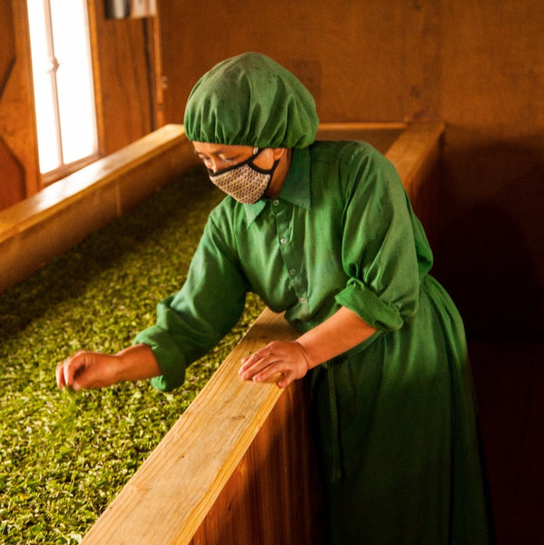 Himalayan Hand Rolled Tea