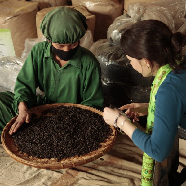 Himalayan Hand Rolled Tea