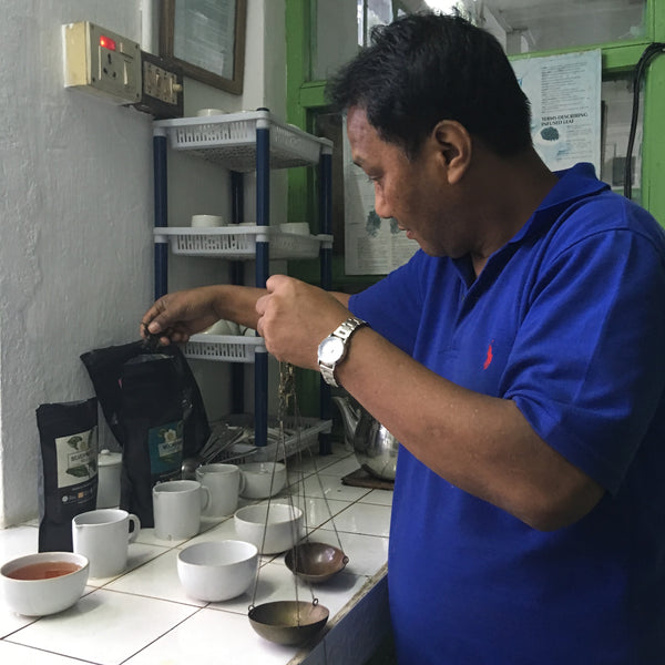 Glenburn 2025 First Flush Darjeeling Tea