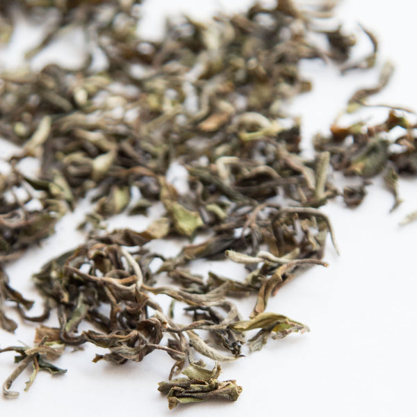 2025 Glenburn Moonshine Darjeeling Tea