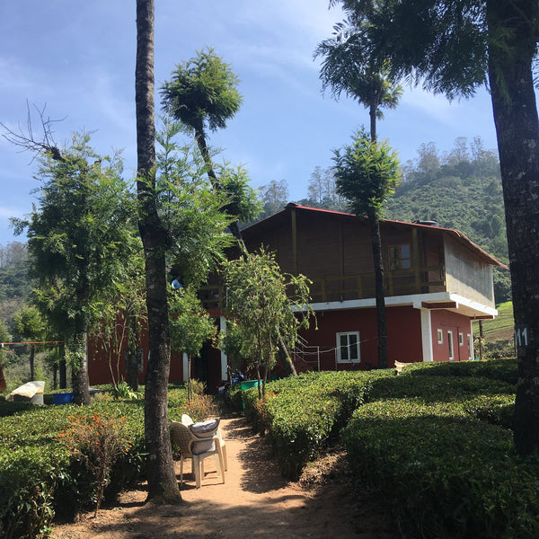 Murali 's Nilgiri Green