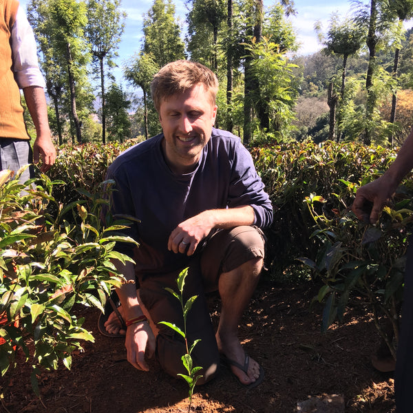 Murali 's Nilgiri Green
