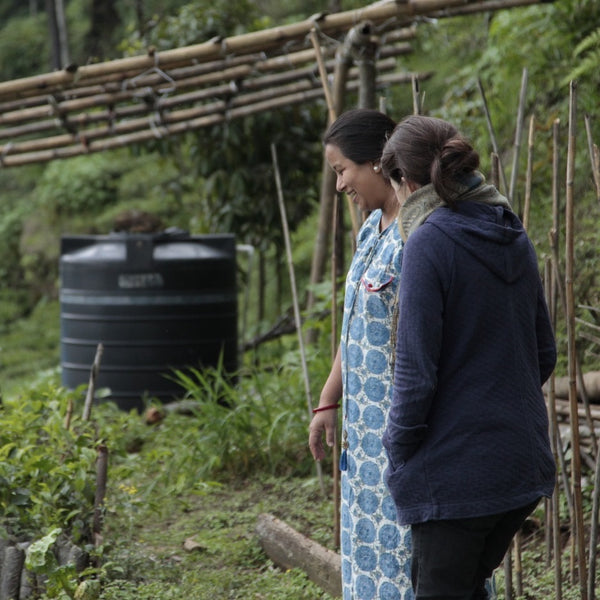 2024 Niroulas First Flush Darjeeling Tea