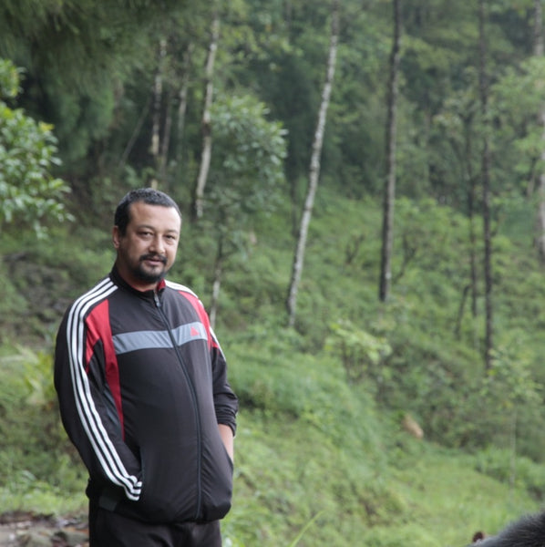 2024 Niroulas First Flush Darjeeling Tea