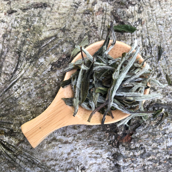 Mr Zheng's 2024 Bai Mu Dan