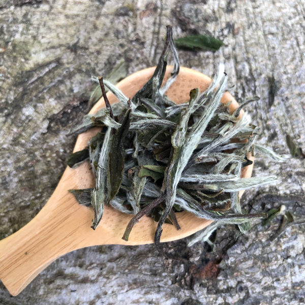 Mr Zheng's Bai Mu Dan (Organic Premium)