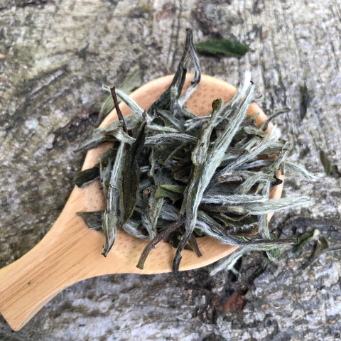 Mr Zheng's 2024 Bai Mu Dan