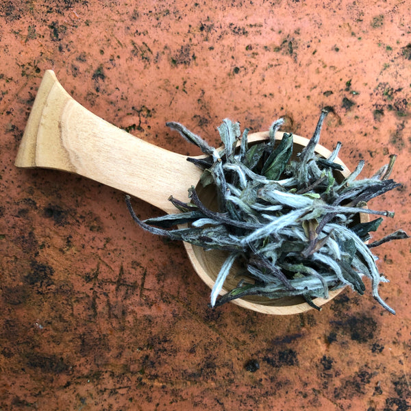 Mr Zheng's Bai Mu Dan (Organic Premium)