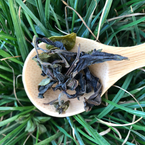 GABA Green Tea