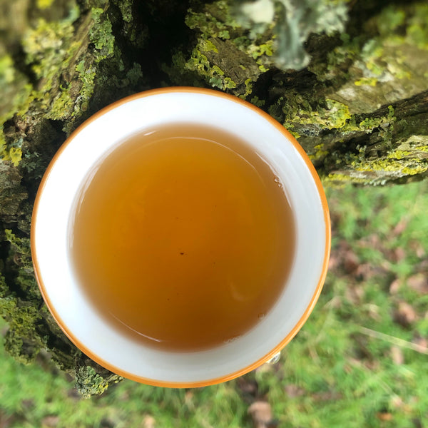 Yuchi Red Jade Black Tea T-18