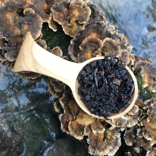 Taiwan Style Hong Shui : TTES 12 Oolong Tea