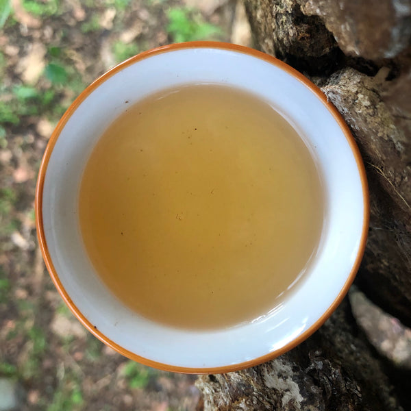 Glenburn 2024 First Flush Darjeeling Tea