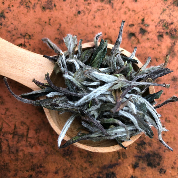 Mr Zheng's Bai Mu Dan (Organic Premium)