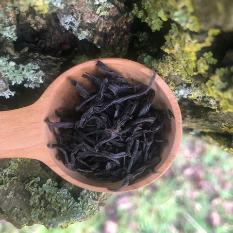 Yuchi Red Jade Black Tea T-18