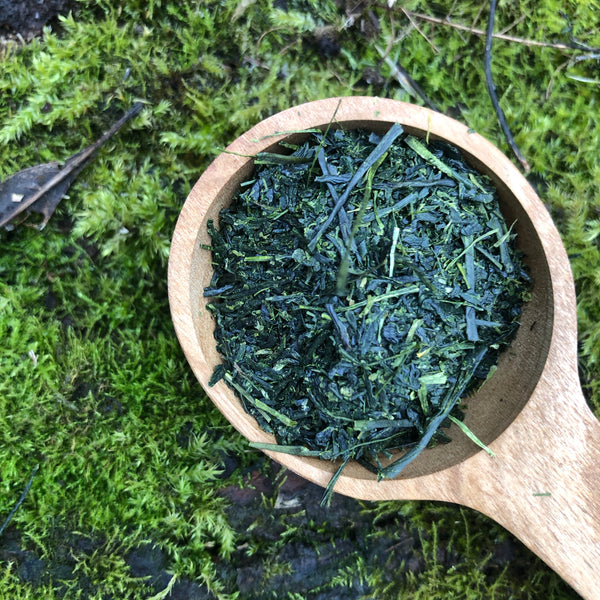 Sencha Fukamushi Tea