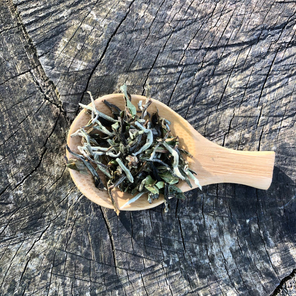 2025 Glenburn Moonshine Darjeeling Tea